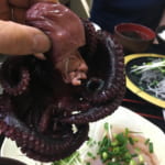 ゆうき食堂 | 逗子マリーナ至近の穴場な海鮮定食屋さん。地ダコが1匹丸ごとで大慌てでした・・・!
