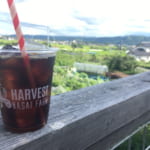HARVEST NAGAI FARM | 浅間サンライン、上田〜軽井沢のドライブ時に立ち寄りたい四季を楽しめるカフェ