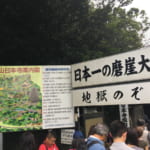 鋸山ハイキング | 絶景と神秘的すぎる百尺菩薩と日本一の大仏、ここは千葉の秘境!かぢや旅館のお風呂も極楽~